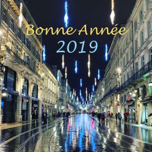 Nouvelle Ann&eacute;e